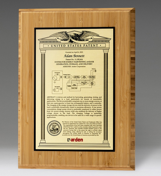 Bamboo Innovator Patent Plaque